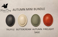Ladybug  Autumn Mini Bundle