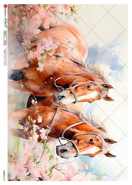 Paper Designs Two Horses in Flower Field Animals 0245
