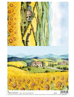 Calambour Villa with Sunflower Fields CO 34- A3 PLUS