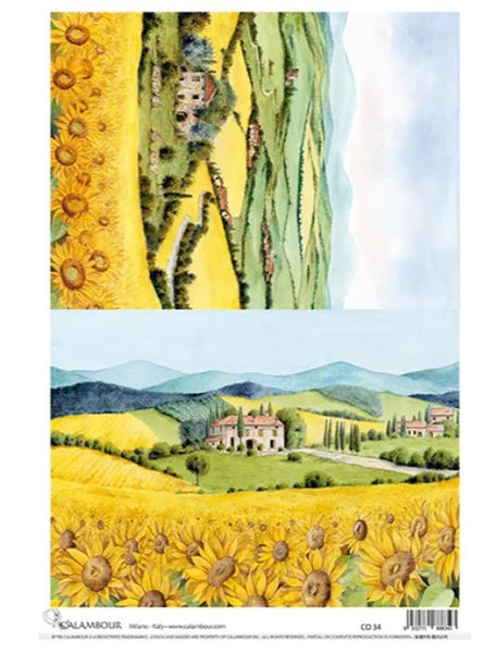 Calambour Villa with Sunflower Fields CO 34- A3 PLUS