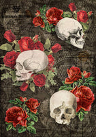 Gothic Skulls 0173