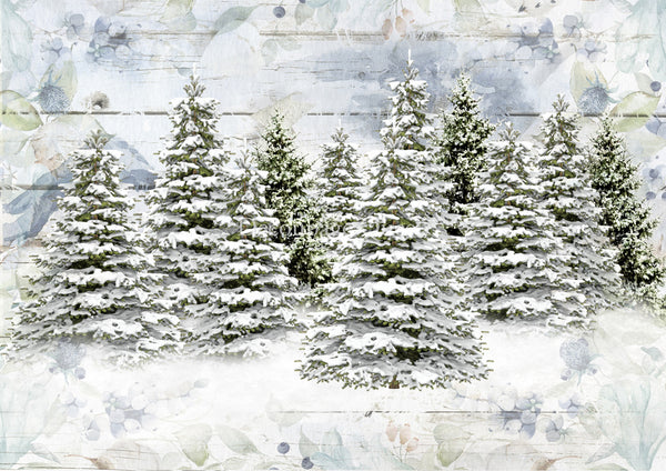 DQRP_0517 Woodland Trees