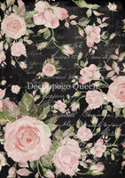 DQRP_0719 Market Roses