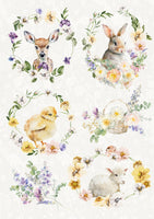 DQRP_0728 Spring Animals
