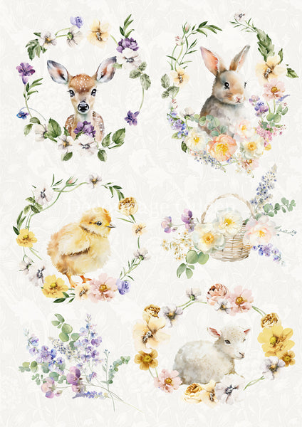 DQRP_0728 Spring Animals