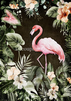 DQRP_0733 Tropical Flamingo