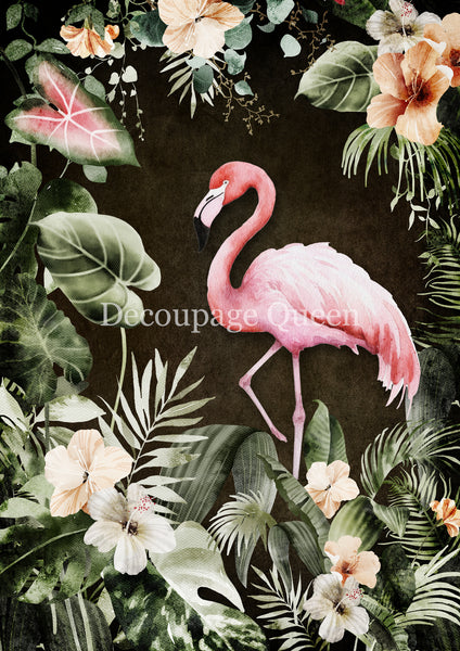 DQRP_0733 Tropical Flamingo