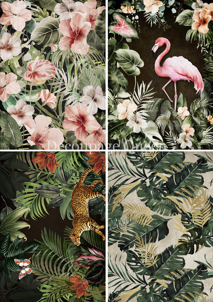 DQRP_0737 Tropical 4 Pack