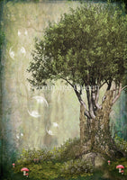 DQRP_0741 Magical Tree