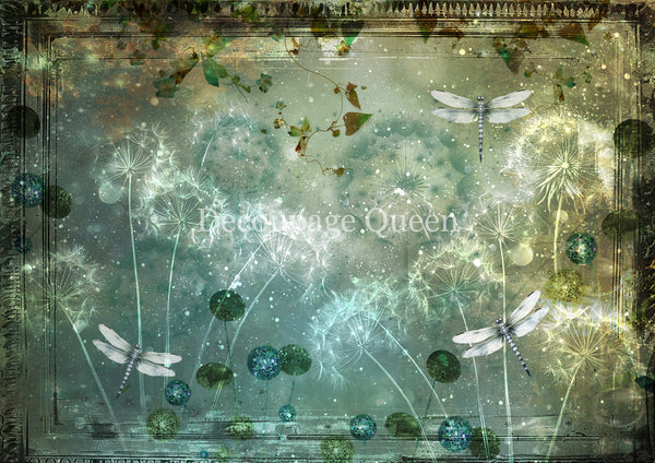 DQRP_0744 Dandelion Wishes
