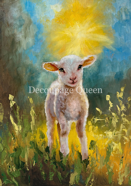 DQRP_0756 Teresa Rene Art - Lamb in the Light