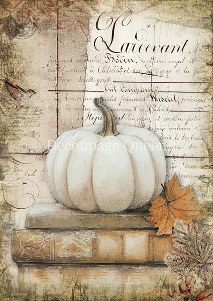DQRP_0781_Cottage_Pumpkin_1