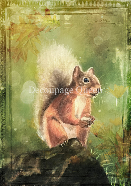 DQRP_0819_Teresa_Rene_Art_Woodland_Squirrel