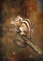 DQRP_0820_Teresa_Rene_Art_Resting_Chipmunk