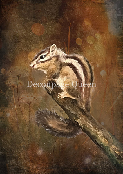 DQRP_0820_Teresa_Rene_Art_Resting_Chipmunk