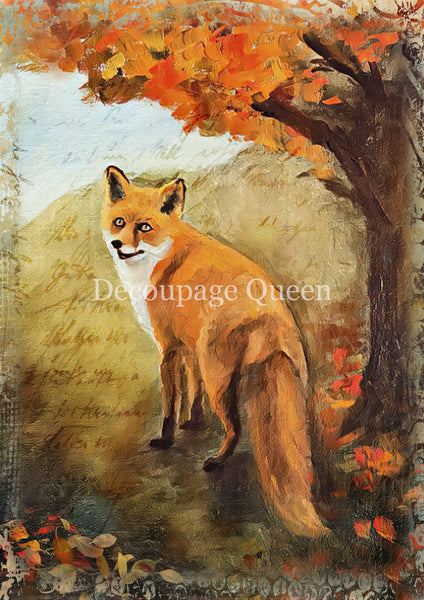 DQRP_0821_Teresa_Rene_Art_Painted_Fox