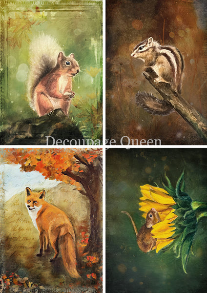 DQRP_0823_Teresa_Rene_Art_Woodland_Creatures_Four_Pack