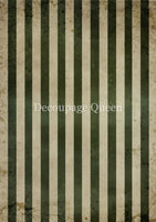 DQRP_0825_Mossy_Stripes