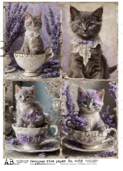 AB Studio Kittens in Teacups Cards Decoupage rice paper A4 4953