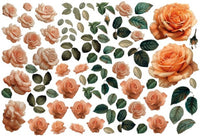 LaBlanche Single Roses LBD361