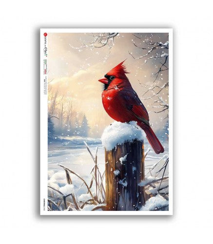 Paper Designs Christmas 0382
