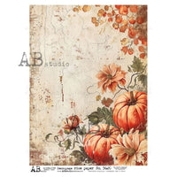 AB Studios Pumpkin Harvest ID-5620