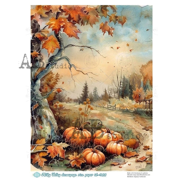 AB Studios Harvest Road  Milky Valley ID-366