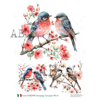 Red Belly Blue Birds Carte Italiano 81 CI81