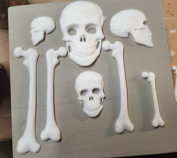 Skulls and bones