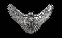 Owl Resin Casting