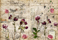 Decoupage Queen - Pressed Flowers 0236