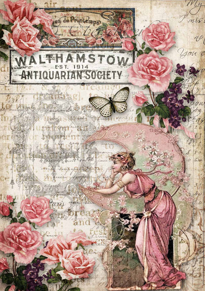 Decoupage Queen - Antiquarian Society 0237