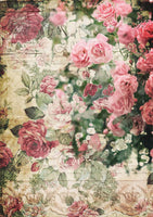 Decoupage Queen - Splash of Roses 0239