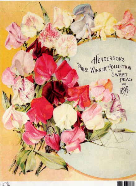 Calambour Henderson's TT92 Prize Winner Collection of Sweet Peas 1899 A4 Rice Paper