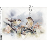 TWO HOUSE SPARROWS BIRDS ON A BRANCH 1256 BY AB STUDIO